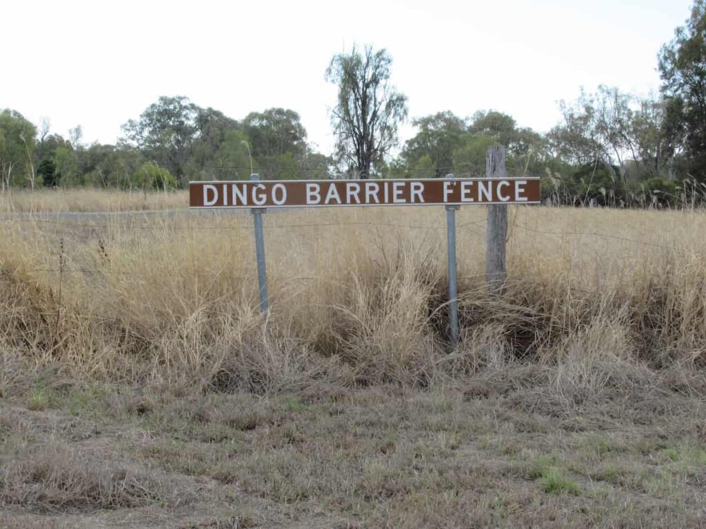 Dingo Zaun bei Bell in Queensland Australien